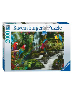 2000B PARROTS PARADISE