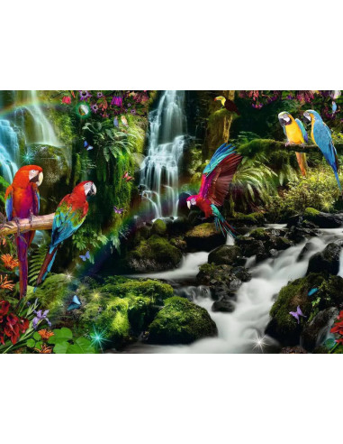 2000B PARROTS PARADISE