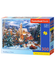 300B SLEDDING IN TOWN