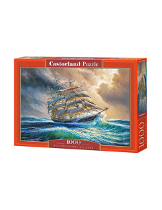 1000B SAILING AGAINST ALL ODDS