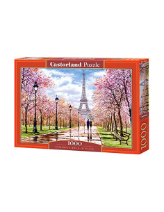 1000B ROMANTIC WALK IN PARIS