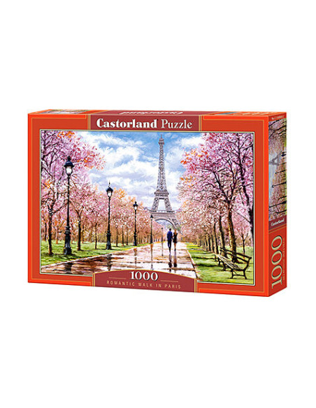 1000B ROMANTIC WALK IN PARIS