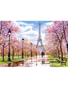 1000B ROMANTIC WALK IN PARIS 2