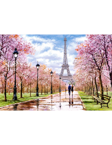 1000B ROMANTIC WALK IN PARIS