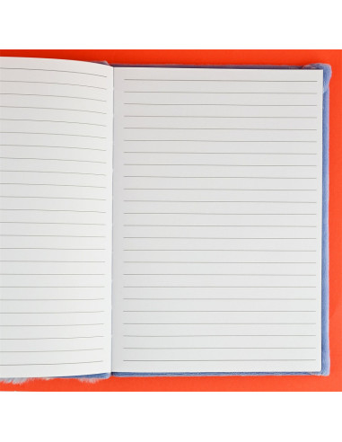 DAGBOK FLUFFY RACOON