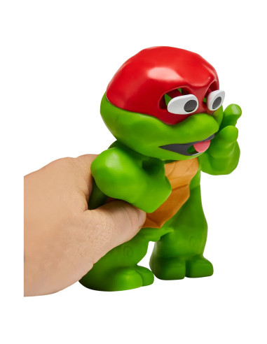 TURTLES BURPIN RAPHAEL