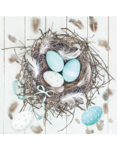 SERVETT EGGS IN NEST REA