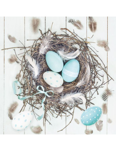 SERVETT EGGS IN NEST REA