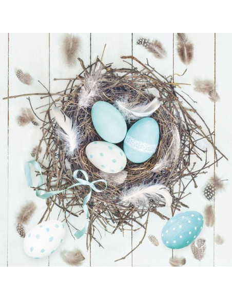 SERVETT EGGS IN NEST REA