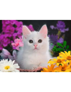 100B WHITE KITTEN GLITTER 2