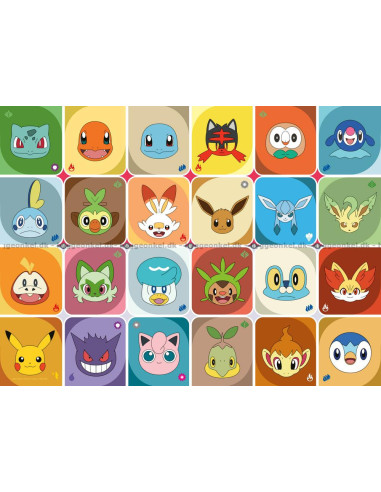 100B POKEMON FACES
