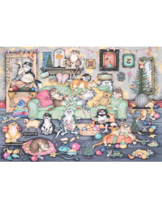 1000B CRAZY CATS CRACKERS 2