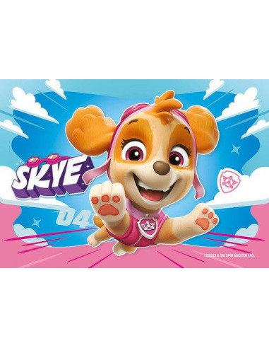 4X5B MY FIRST PUZZLE PAW PATROL