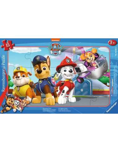 15B PAW PATROL