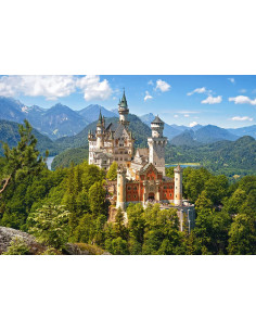 500B NEUSCHWANSTEIN CASTLE 2