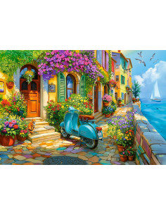 1000B COASTAL LIFE 2