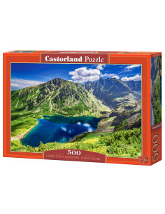 500B CZARNY STAW GASIENICOWY POLAND