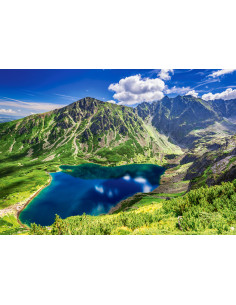 500B CZARNY STAW GASIENICOWY POLAND 2