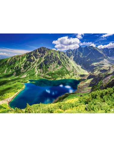 500B CZARNY STAW GASIENICOWY POLAND