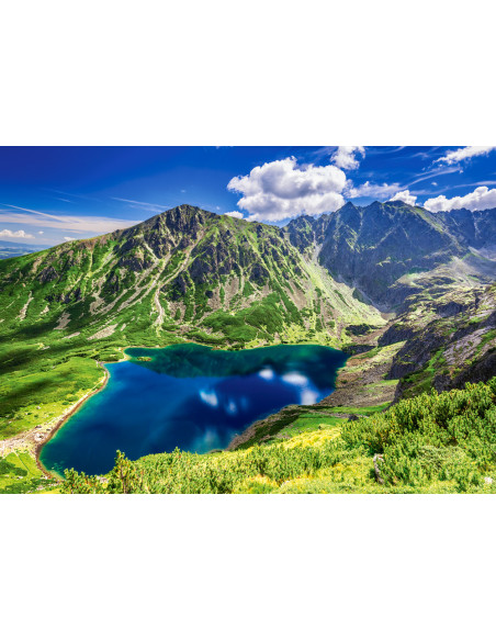 500B CZARNY STAW GASIENICOWY POLAND