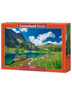 500B CZARNY STAW POD RYSAMI POLAND