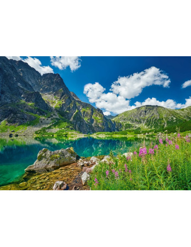 500B CZARNY STAW POD RYSAMI POLAND