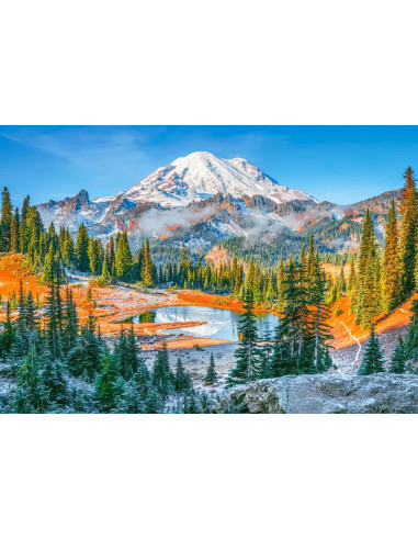 1000B MOUNTAIN RAINIER NATIONAL PARK