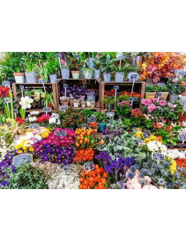 500B FLOWER MARKET FRANCE
