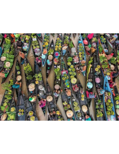 500B FLOATING MARKET INDONESIA 2