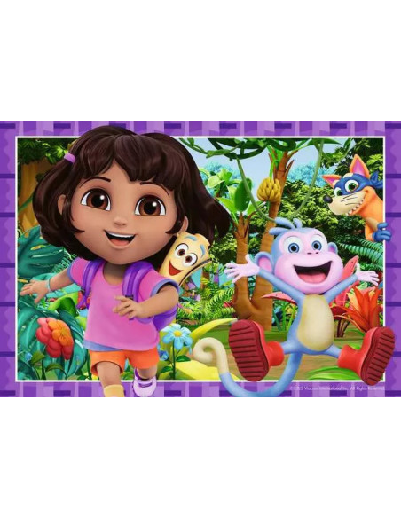 2X12B DORA THE EXPLORER