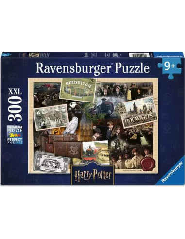 300B HARRY POTTER AND FRIENDS