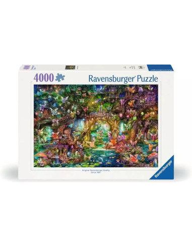 4000B HIDDEN WORLD OF FAIRIES