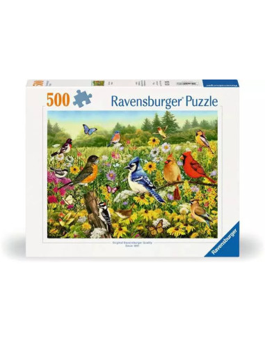 500B BIRDS IN THE MEADOW