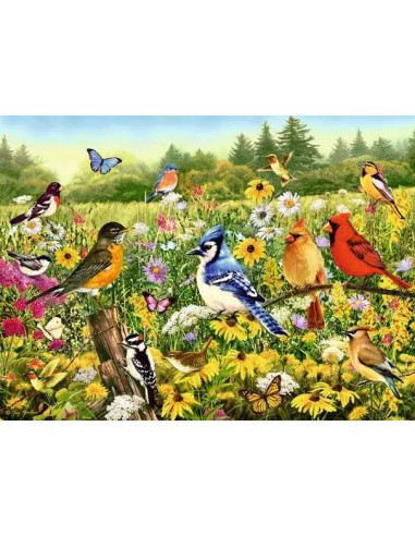 500B BIRDS IN THE MEADOW