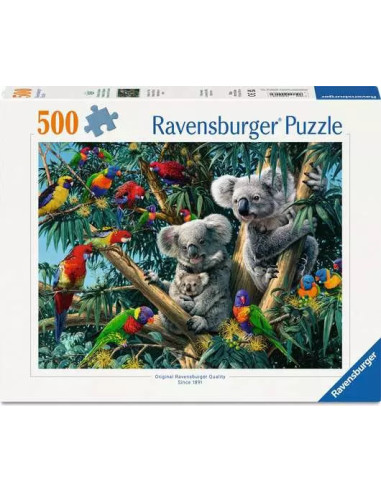 500B KOALAS IN THE TREE