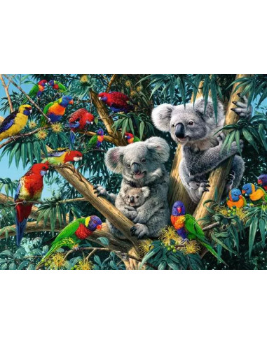 500B KOALAS IN THE TREE