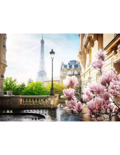 500B SPRING IN PARIS 2