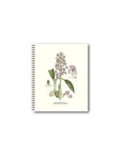 BLANKBOK SANKT PERS NYCKLAR