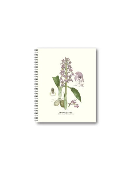 BLANKBOK SANKT PERS NYCKLAR