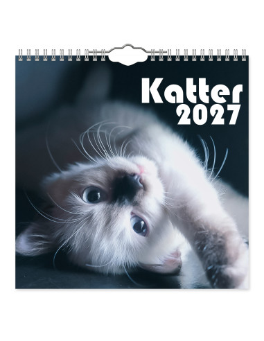 2027 KATTER MINI