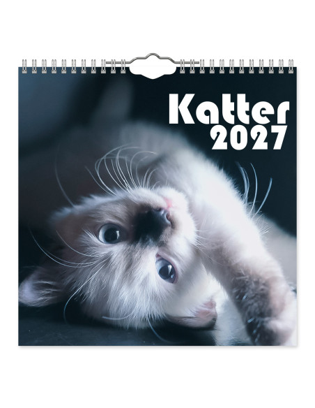 2027 KATTER MINI