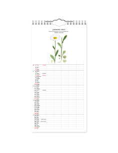 2027 FAMILJEKALENDER VÄXTER 2