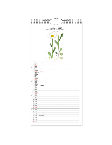 2027 FAMILJEKALENDER VÄXTER