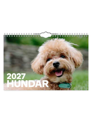 2027 HUNDAR SMALL