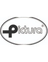Pictura